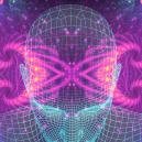 Alles Wat Je Moet Weten Over 5-MeO-DMT