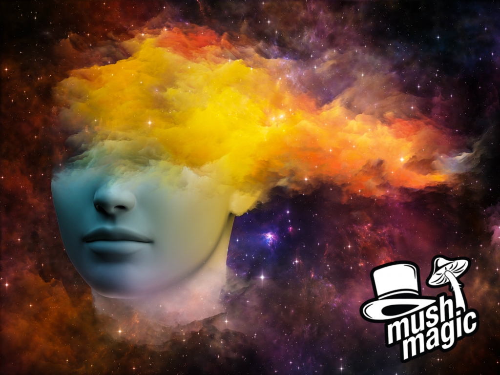Magic Mushrooms kunnen mogelijk helpen bij de behandeling van clusterhoofdpijn 