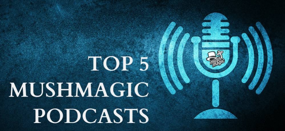 De 5 Beste Podcasts Over Drugs