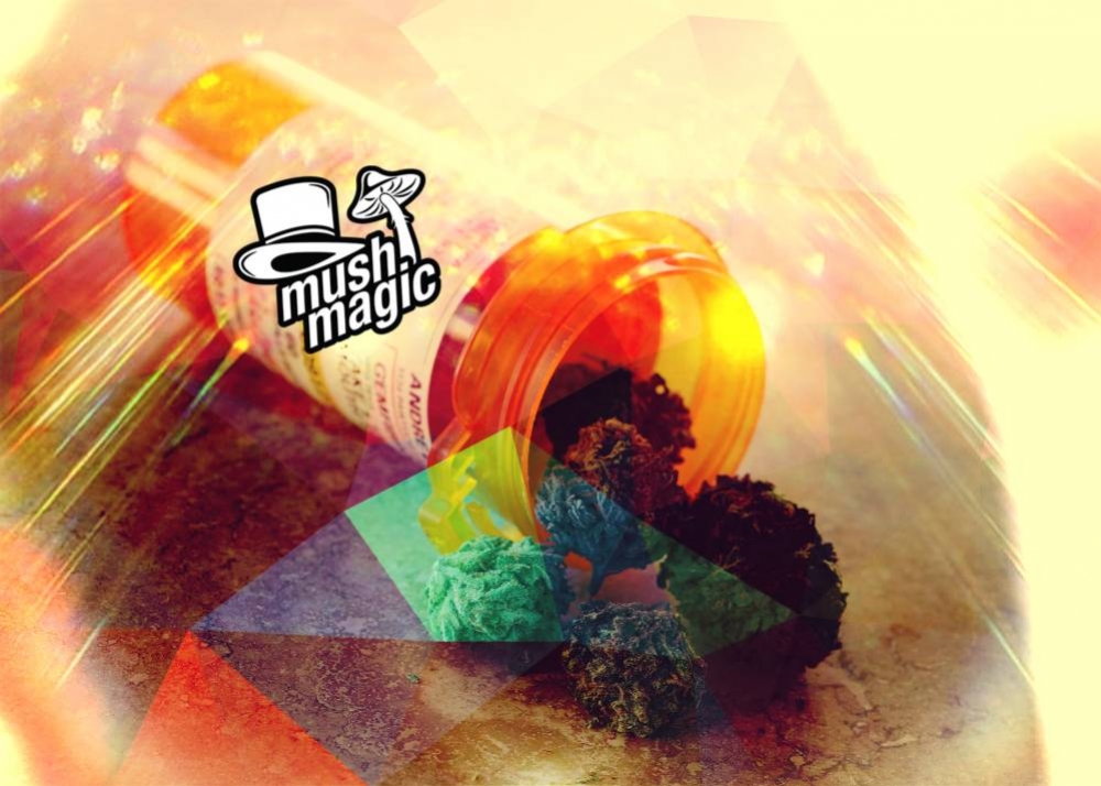 Treden Psychedelica In De Voetsporen Van Cannabis?