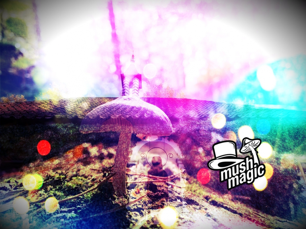Het Behandelen Van Psychische Stoornissen Met Psychedelica