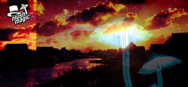 Psychedelische psilocybine therapie voor depressie 