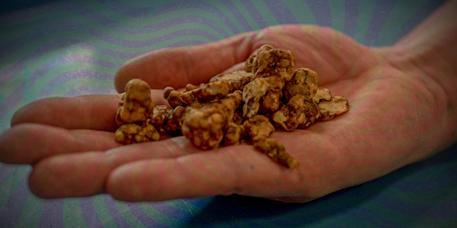 Hoe Verbeter Je De Smaak Van Magic Truffels? 