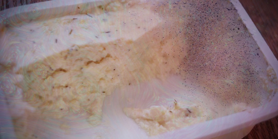 Hoe Kun Je Een Myceliumcake Recyclen? 