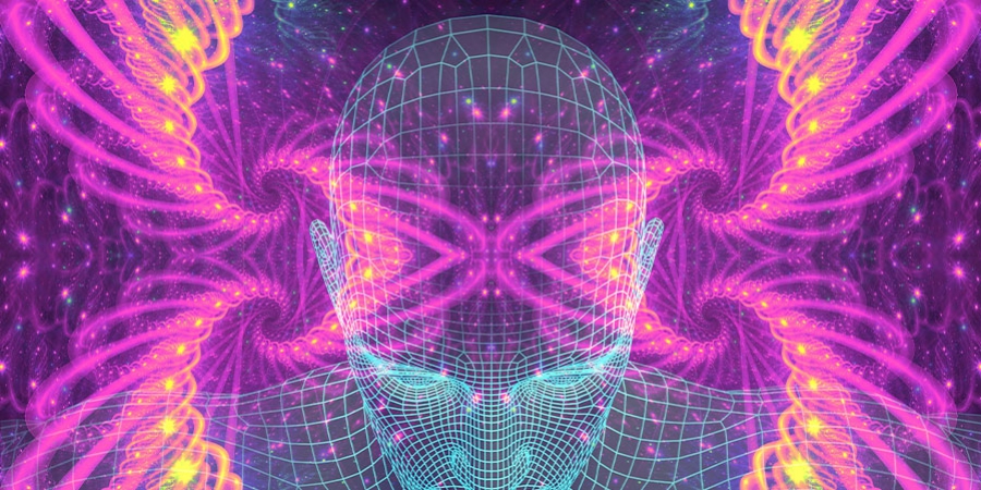 Alles Wat Je Moet Weten Over 5-MeO-DMT