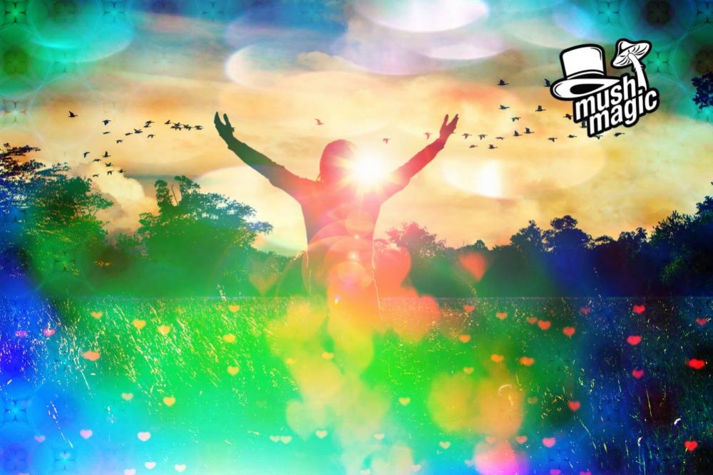 Magic Mushrooms: Een geneesmiddel voor verslaving? 
