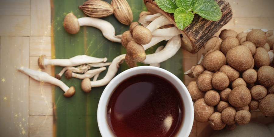 Makkelijk Recept Voor Magic Mushroom-Thee