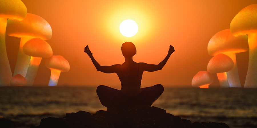 Magic Mushrooms En Yoga: De Perfecte Combinatie