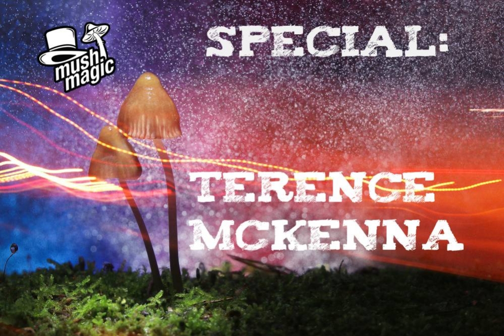 Het Leven En De Geest Van Terence McKenna  	