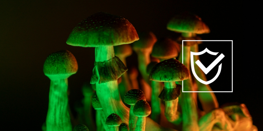 Tips Voor Een Veilige Magic Mushroom Trip