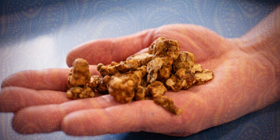 Hoe Vermijd Je Een Bad Trip Met Magic Truffles?