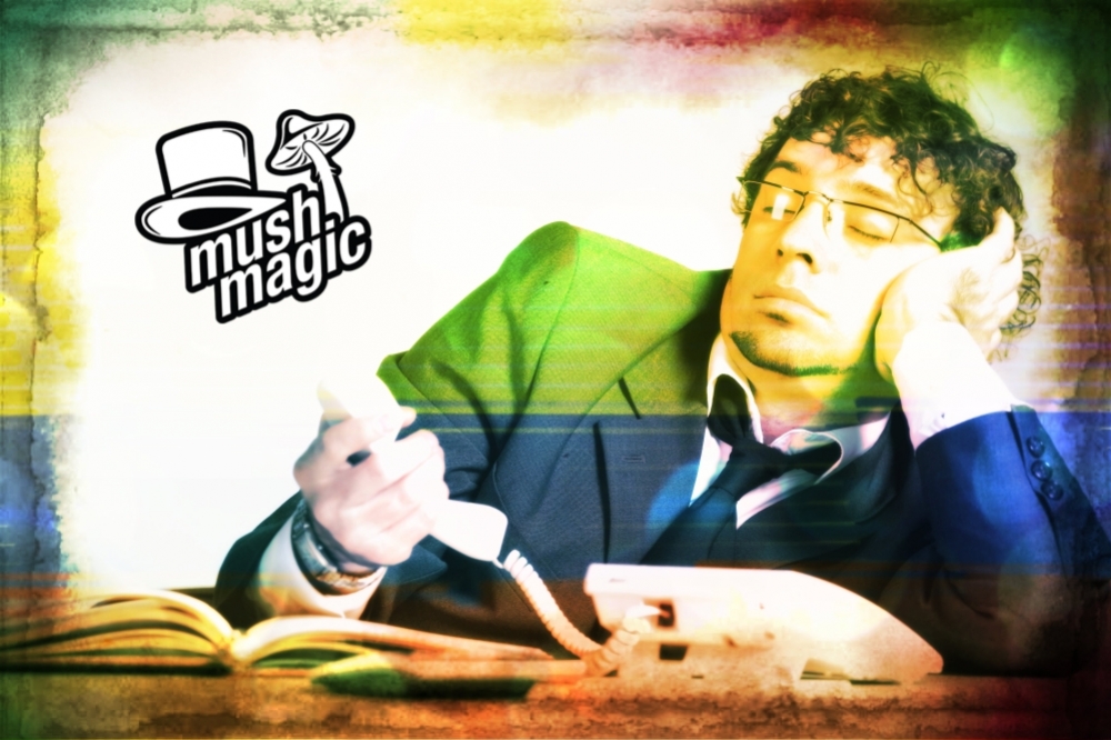 De top 10 slechtste plekken om Magic Truffles te nemen