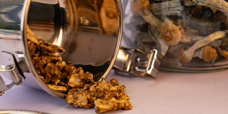Hoe Bewaar Je Magic Mushrooms En Truffles?