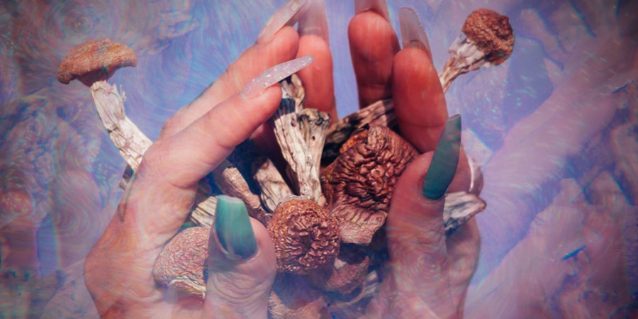 Het Leven En Werk Van Terence Mckenna