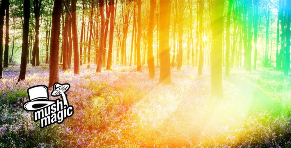 Veel Voorkomende Visuele Componenten Van Een Psychedelische Ervaring