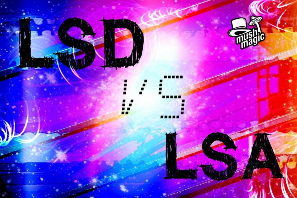 Wat Is Het Verschil Tussen LSA En LSD? 