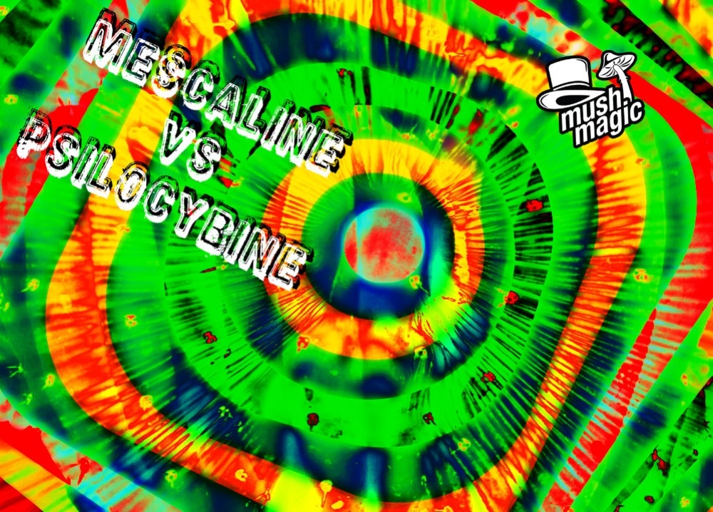 Mescaline Versus Psilocybine: Wat Is Het Verschil?