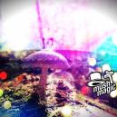Het Behandelen Van Psychische Stoornissen Met Psychedelica