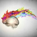 Coole Video: De werking van Magic Truffels op de hersenen 