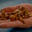 Hoe Verbeter Je De Smaak Van Magic Truffels? 