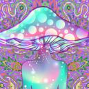 Wat Is Het Verschil Tussen Magic Mushrooms En DMT?