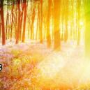 Veel Voorkomende Visuele Componenten Van Een Psychedelische Ervaring